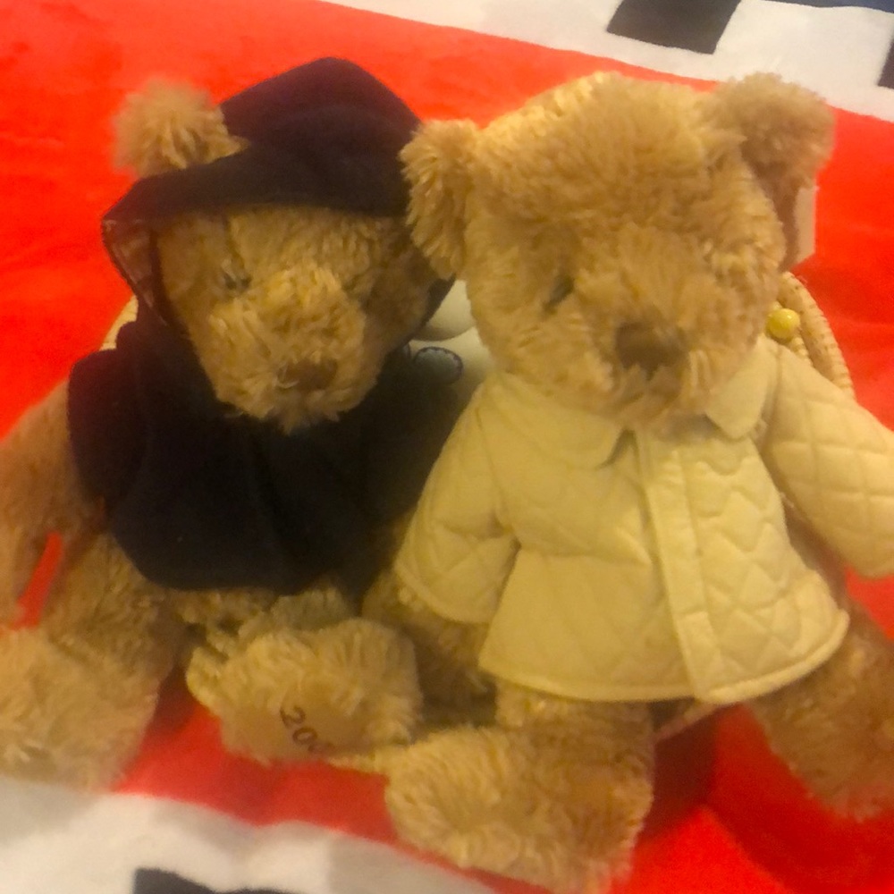 Couple 2008-2009 bears selling it together